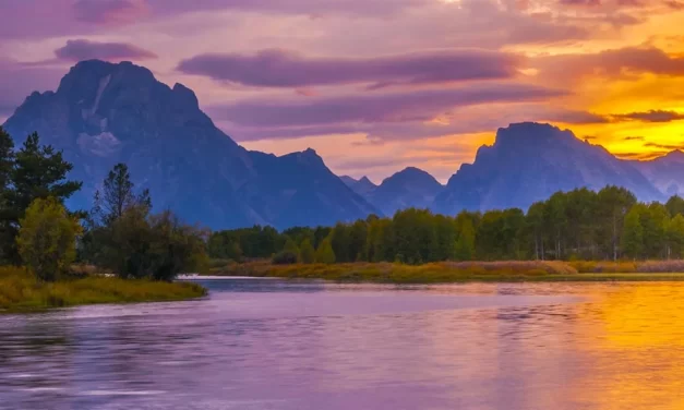 Perché costituire la propria società LLC in Wyoming?