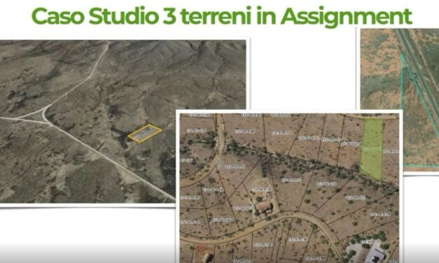 Terreni da 4 acri in Arizona