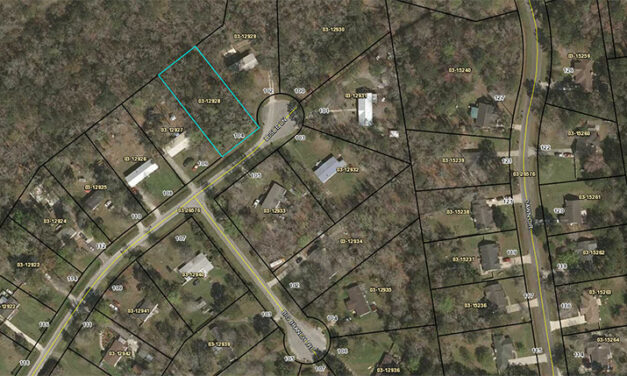 Terreni da costruzione: investi low-cost e guadagni al top